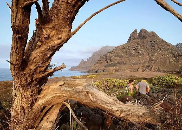 Ocean Views Lejlighed Punta Del Hidalgo
