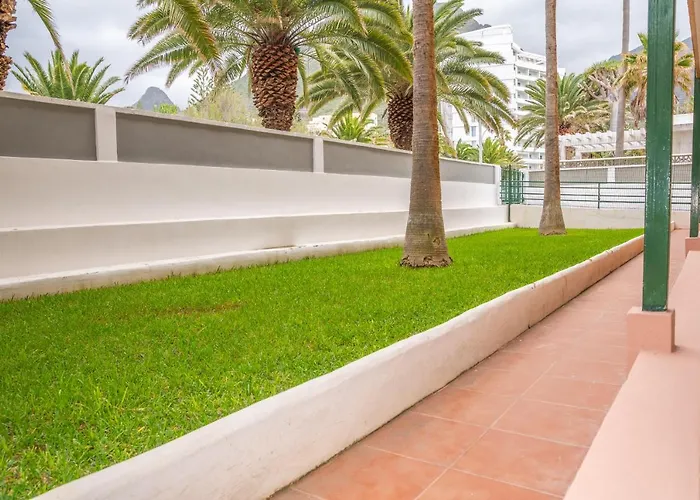 Ocean Views * Punta Del Hidalgo